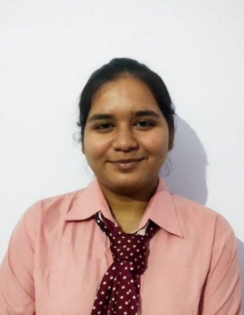 Best All Academic Subjects,Business Study,Economics tutor in Varanasi